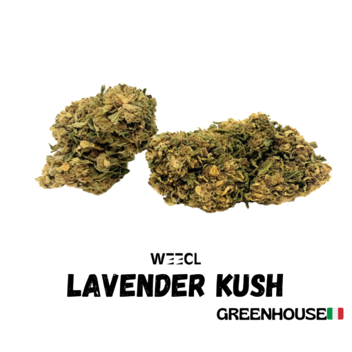 Lavender Kush CBG