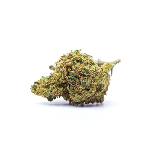 Design sans titre-17