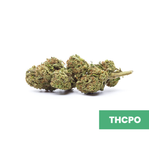 Durban Poison THCPO