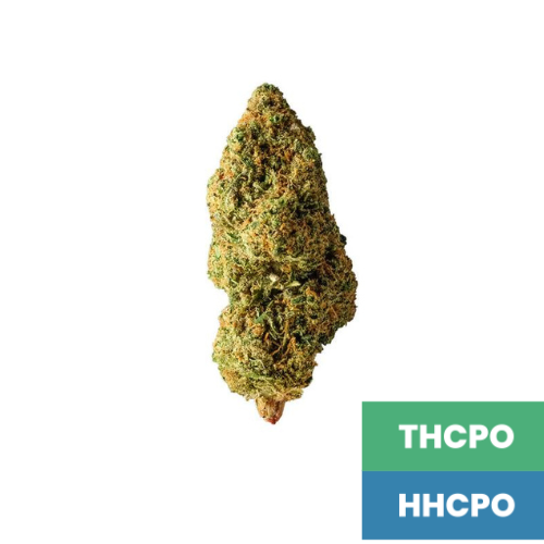 Blue Cheese - HHCPO : THCPO