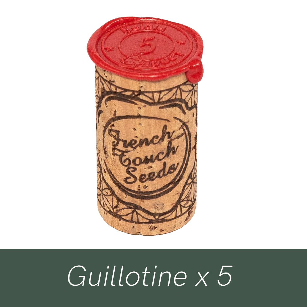 Graine Guillotine - French Touch Seeds
