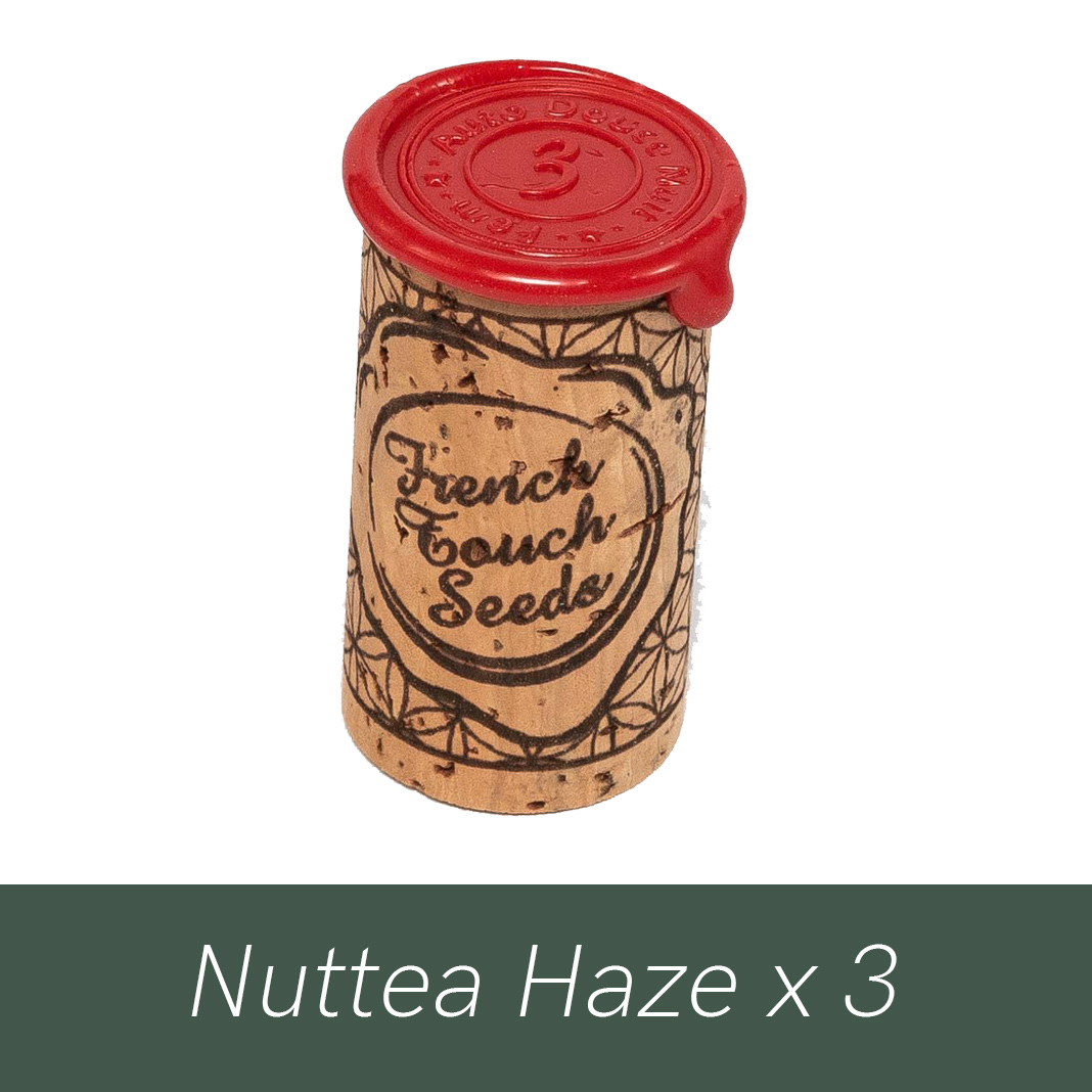 Graine Nuttea Haze - French Touch Seeds