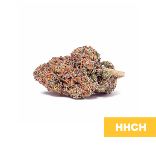 Purple Haze - HHCH