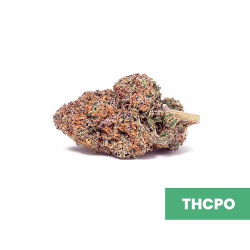 Purple Haze - THCPO