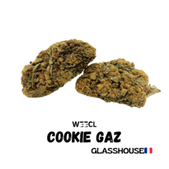 Cookie Gaz CBD