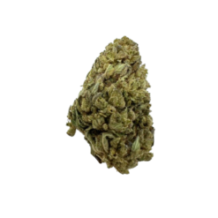 Cookie Gaz : CBD (FR) - [Vrac]