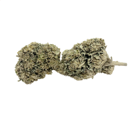 White-Widow-60-CBN-Special-Noel