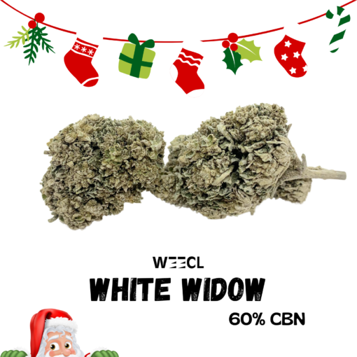 White Widow 60% CBN - Spécial Noël.