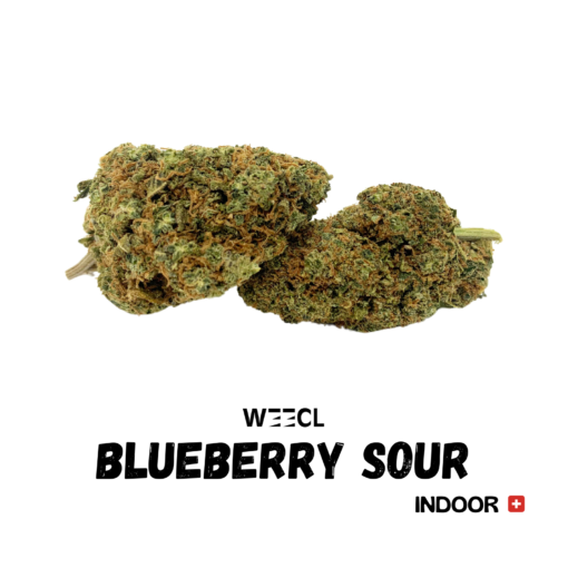 Blueberry Sour CBD