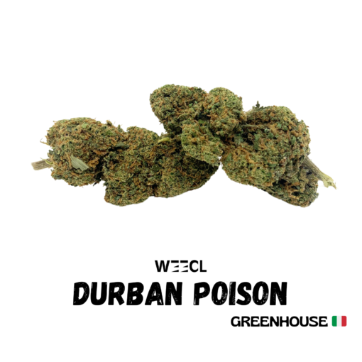 Durban Poison CBD