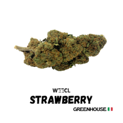 Strawberry CBD