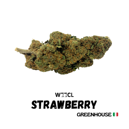 Strawberry CBD