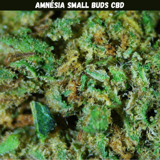 Amnésia Small Buds CBD Amnésia Small Buds