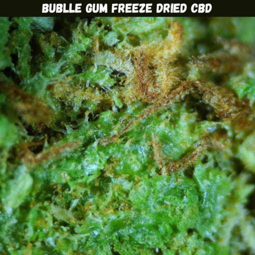 Bublle Gum Freeze Dried CBD Bublle Gum Freeze Dried CBD