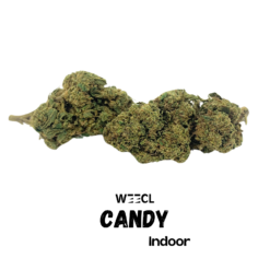 Candy Indoor CBD