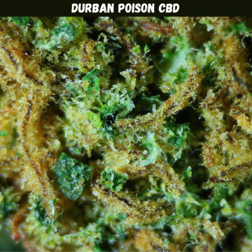Durban Poison CBD Durban Poison CBD