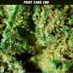 Fruit Cake CBD