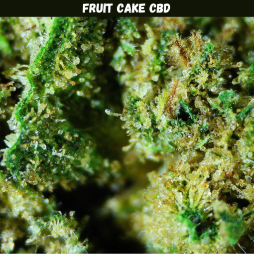 Fruit Cake CBD Fruit Cake CBD