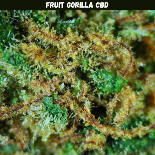 Fruit Gorilla CBD Fruit Gorilla CBD