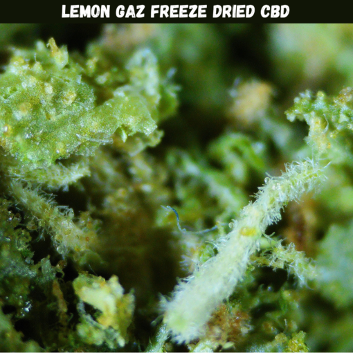 Lemon Gaz Freeze Dried CBD Lemon Gaz Freeze Dried CBD