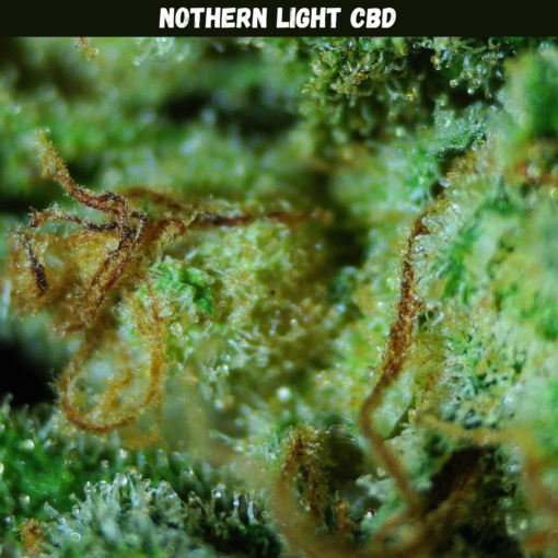 Nothern Light CBD Nothern Light CBD