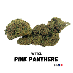 PINK PANTHERE CBD