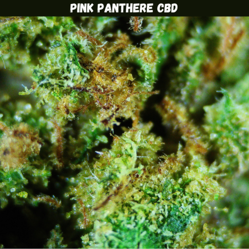 Pink Panthere CBD Pink Panthere CBD