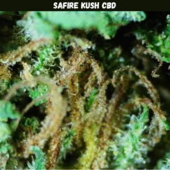 Safire Kush CBD