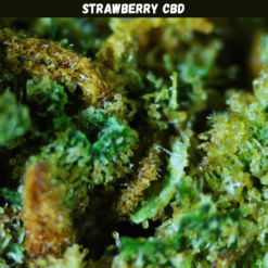 Strawberry CBD