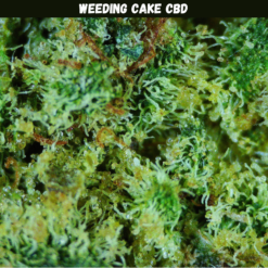 Weeding Cake CBD