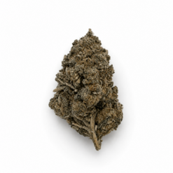 Lemon Candy : 60% CBN - [Vrac]