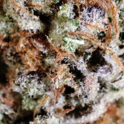 alt="Visuel produit Fleur CBD Dark Saphir – 10 % de CBD"