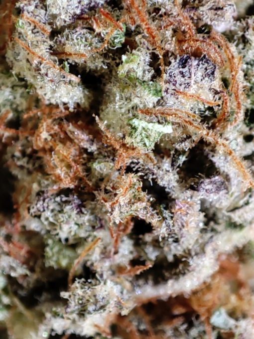 alt="Visuel produit Fleur CBD Dark Saphir – 10 % de CBD" alt="Visuel produit Fleur CBD Dark Saphir – 10 % de CBD"