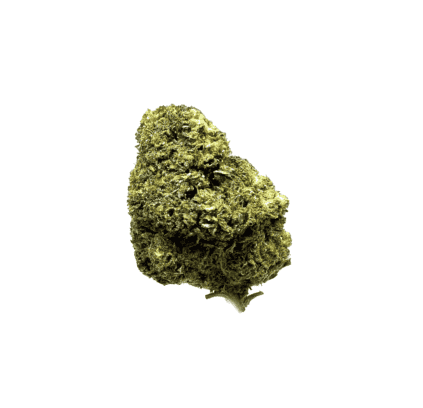Fanta Small Bud CBD