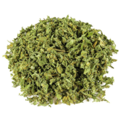 TRIM Amnésia JSH indoor