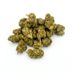 Alternative view of Diesel