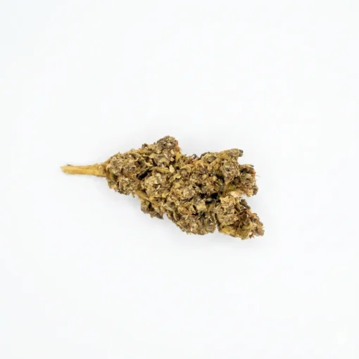 AMNESIA 60% CBN