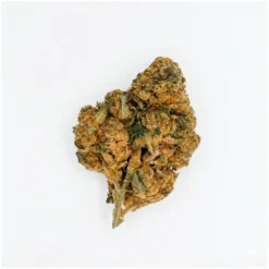 Amnésia JSH CBD - [Vrac]