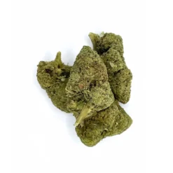 Alternative view of Cali