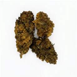 Alternative view of GORILLA Série Limitée Ultra Strong – 100GR