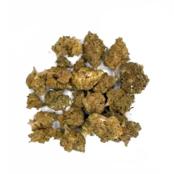 Alternative view of TUTTI FRUITY Médium Buds Série Limitée Ultra Strong 100g