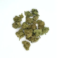 Alternative view of AMNESIA Medium JSH CBD - [Vrac]