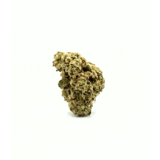 AMNESIA MEDIUM JSH