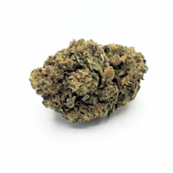 HARLEQUIN Série Limitée Strong - 100GR