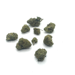 Alternative view of CANDY GAZ MEDIUM INDOOR
