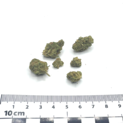 Alternative view of FRUIT KUSH MEDIUM INDOOR